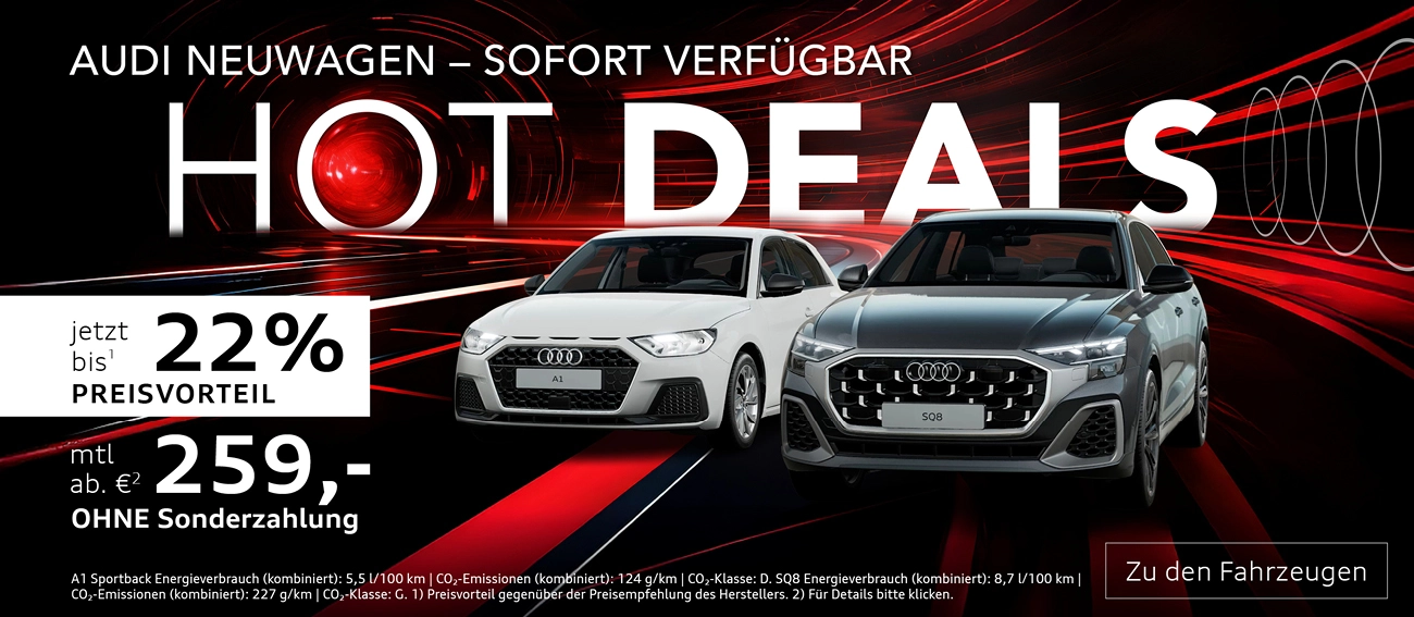 Audi Lageraktion