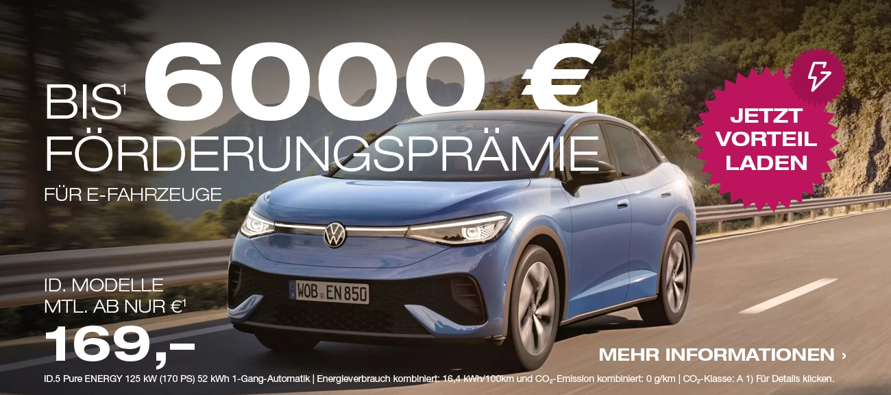 E-Förderung VW