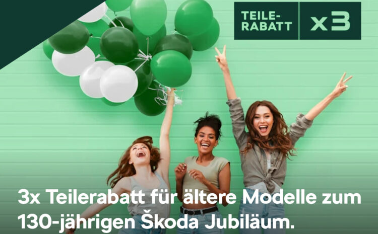  Škoda Teile Rabatt x3