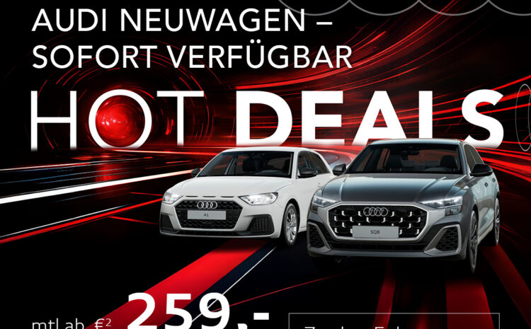  Audi Lageraktion