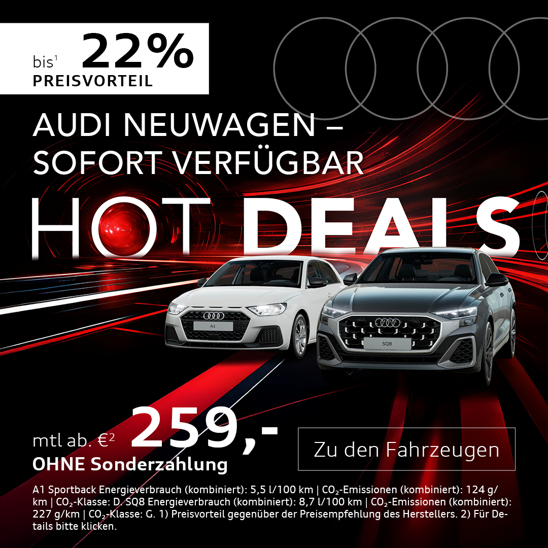 Audi Lageraktion