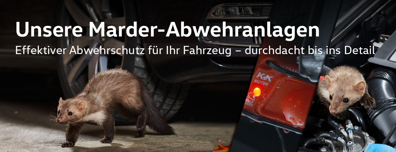 HEADER-DESKTOP-K-K-MARDERABWEHRLOESUNG