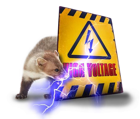 Marder mit Schild und Blitzen